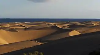 Maspalomas Dunes