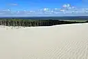 Dunes of Łeba, Slovincian National Park