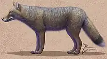 Illustration of gray canine