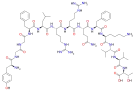 Chemical structure of dynorphin B.