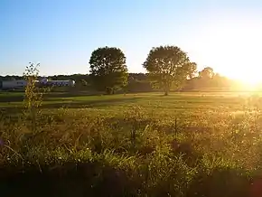 Field in Perry Township