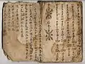 19th-century Shuishu manuscript from the Shui archives in Libo, Guizhou