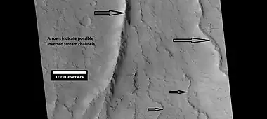 Possible inverted stream channels, Amazonis quadrangle, as seen by HiRISE under HiWish program.  The ridges were probably once stream valleys that have become full of sediment and cemented.  So, they became hardened against erosion which removed surrounding material. Illumination is from the left (west).