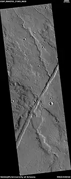 Straight trough is a fossa that would be classified as a graben.  Curved channels may have carried lava/water from the fossa.  Picture taken with HiRISE under HiWish program.