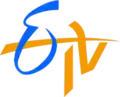 Logo in 1995