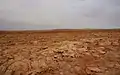 The Danakil desert seen from Dallol