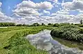 East Fen Common