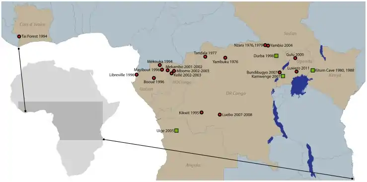 Ebola (and Marburg virus depicted as green squares) outbreaks on the African continent, both from the Filoviridae family.mw-parser-output cite.citation{font-style:inherit;word-wrap:break-word}.mw-parser-output .citation q{quotes:"\"""\"""'""'"}.mw-parser-output .citation:target{background-color:rgba(0,127,255,0.133)}.mw-parser-output .id-lock-free.id-lock-free a{background:url("//upload.wikimedia.org/wikipedia/commons/6/65/Lock-green.svg")right 0.1em center/9px no-repeat}body:not(.skin-timeless):not(.skin-minerva) .mw-parser-output .id-lock-free a{background-size:contain}.mw-parser-output .id-lock-limited.id-lock-limited a,.mw-parser-output .id-lock-registration.id-lock-registration a{background:url("//upload.wikimedia.org/wikipedia/commons/d/d6/Lock-gray-alt-2.svg")right 0.1em center/9px no-repeat}body:not(.skin-timeless):not(.skin-minerva) .mw-parser-output .id-lock-limited a,body:not(.skin-timeless):not(.skin-minerva) .mw-parser-output .id-lock-registration a{background-size:contain}.mw-parser-output .id-lock-subscription.id-lock-subscription a{background:url("//upload.wikimedia.org/wikipedia/commons/a/aa/Lock-red-alt-2.svg")right 0.1em center/9px no-repeat}body:not(.skin-timeless):not(.skin-minerva) .mw-parser-output .id-lock-subscription a{background-size:contain}.mw-parser-output .cs1-ws-icon a{background:url("//upload.wikimedia.org/wikipedia/commons/4/4c/Wikisource-logo.svg")right 0.1em center/12px no-repeat}body:not(.skin-timeless):not(.skin-minerva) .mw-parser-output .cs1-ws-icon a{background-size:contain}.mw-parser-output .cs1-code{color:inherit;background:inherit;border:none;padding:inherit}.mw-parser-output .cs1-hidden-error{display:none;color:#d33}.mw-parser-output .cs1-visible-error{color:#d33}.mw-parser-output .cs1-maint{display:none;color:#2C882D;margin-left:0.3em}.mw-parser-output .cs1-format{font-size:95%}.mw-parser-output .cs1-kern-left{padding-left:0.2em}.mw-parser-output .cs1-kern-right{padding-right:0.2em}.mw-parser-output .citation .mw-selflink{font-weight:inherit}html.skin-theme-clientpref-night .mw-parser-output .cs1-maint{color:#18911F}html.skin-theme-clientpref-night .mw-parser-output .cs1-visible-error,html.skin-theme-clientpref-night .mw-parser-output .cs1-hidden-error{color:#f8a397}@media(prefers-color-scheme:dark){html.skin-theme-clientpref-os .mw-parser-output .cs1-visible-error,html.skin-theme-clientpref-os .mw-parser-output .cs1-hidden-error{color:#f8a397}html.skin-theme-clientpref-os .mw-parser-output .cs1-maint{color:#18911F}}"Ebola Virus Disease Distribution Map: Cases of Ebola Virus Disease in Africa Since 1976". Centers for Disease Control and Prevention (CDC). 22 May 2018. Retrieved 10 October 2018..mw-parser-output cite.citation{font-style:inherit;word-wrap:break-word}.mw-parser-output .citation q{quotes:"\"""\"""'""'"}.mw-parser-output .citation:target{background-color:rgba(0,127,255,0.133)}.mw-parser-output .id-lock-free.id-lock-free a{background:url("//upload.wikimedia.org/wikipedia/commons/6/65/Lock-green.svg")right 0.1em center/9px no-repeat}body:not(.skin-timeless):not(.skin-minerva) .mw-parser-output .id-lock-free a{background-size:contain}.mw-parser-output .id-lock-limited.id-lock-limited a,.mw-parser-output .id-lock-registration.id-lock-registration a{background:url("//upload.wikimedia.org/wikipedia/commons/d/d6/Lock-gray-alt-2.svg")right 0.1em center/9px no-repeat}body:not(.skin-timeless):not(.skin-minerva) .mw-parser-output .id-lock-limited a,body:not(.skin-timeless):not(.skin-minerva) .mw-parser-output .id-lock-registration a{background-size:contain}.mw-parser-output .id-lock-subscription.id-lock-subscription a{background:url("//upload.wikimedia.org/wikipedia/commons/a/aa/Lock-red-alt-2.svg")right 0.1em center/9px no-repeat}body:not(.skin-timeless):not(.skin-minerva) .mw-parser-output .id-lock-subscription a{background-size:contain}.mw-parser-output .cs1-ws-icon a{background:url("//upload.wikimedia.org/wikipedia/commons/4/4c/Wikisource-logo.svg")right 0.1em center/12px no-repeat}body:not(.skin-timeless):not(.skin-minerva) .mw-parser-output .cs1-ws-icon a{background-size:contain}.mw-parser-output .cs1-code{color:inherit;background:inherit;border:none;padding:inherit}.mw-parser-output .cs1-hidden-error{display:none;color:#d33}.mw-parser-output .cs1-visible-error{color:#d33}.mw-parser-output .cs1-maint{display:none;color:#2C882D;margin-left:0.3em}.mw-parser-output .cs1-format{font-size:95%}.mw-parser-output .cs1-kern-left{padding-left:0.2em}.mw-parser-output .cs1-kern-right{padding-right:0.2em}.mw-parser-output .citation .mw-selflink{font-weight:inherit}html.skin-theme-clientpref-night .mw-parser-output .cs1-maint{color:#18911F}html.skin-theme-clientpref-night .mw-parser-output .cs1-visible-error,html.skin-theme-clientpref-night .mw-parser-output .cs1-hidden-error{color:#f8a397}@media(prefers-color-scheme:dark){html.skin-theme-clientpref-os .mw-parser-output .cs1-visible-error,html.skin-theme-clientpref-os .mw-parser-output .cs1-hidden-error{color:#f8a397}html.skin-theme-clientpref-os .mw-parser-output .cs1-maint{color:#18911F}}"Chronology of Marburg Hemorrhagic Fever Outbreaks". Centers for Disease Control and Prevention (CDC). Retrieved 10 October 2018.