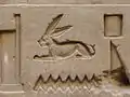 Cape hare hieroglyph depicted at the Temple of Edfu