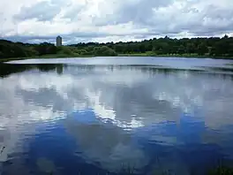 A lake surrounded by trees