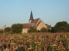 The church of Saint-Pierre, in Pouligny-Saint-Pierre