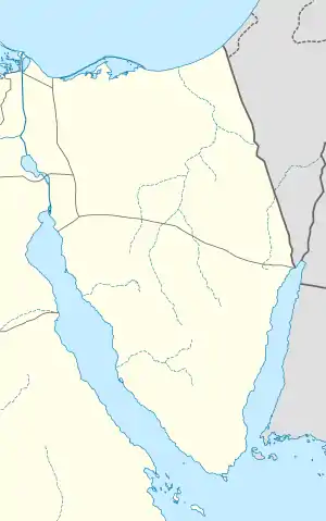 TCP is located in Sinai