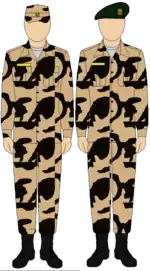 Egyptian Army Thunderbolt camouflage uniform