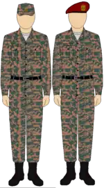 Egyptian Army Thunderbolt camouflage uniform