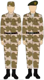 Egyptian Army Thunderbolt camouflage uniform