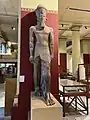 Egyptian Museum