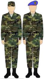 Egyptian Republican Guard camouflage uniform