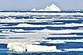 Northeast coast of Bolshevik Island: iceberg road (79°28‘N, 103°E)