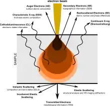 Pictorial diagram showing signals generated when an electron beam interacts with a sample of matter.  At the top, the primary electron beam impinges on the sample.  Various types of emissions are shown in order of increasing penetration depth of the beam.  Near the top are Auger Electrons, followed by Secondary Electrons, then Backscattered Electrons, all emerging in the general direction towards the impinging beam.  Next are four types of radiation (shown with wavy arrows): Characteristic X-rays, Continuum X-rays, Cathodo-luminescence, and Fluorescent X-rays.  The later two are shown as being emitted from the same depth.  Finally, shown having passed through the body of the sample are, in increasing order of angular displacement from the beam axis, Transmitted Electrons, Diffracted Electrons, and Scattered Elections.