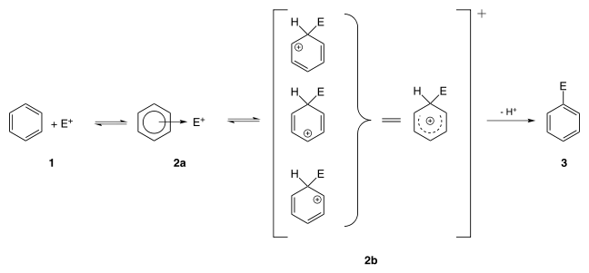 Reaction mechanism for electrophilic aromatic substitution