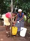 One woman stirring the stink bugs in the bucket carefully as another pours a small amount of water into it.