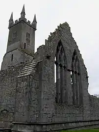 Ennis Friary