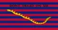 South Carolina naval ensign during Revolutionary and Civil Wars