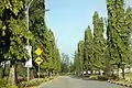 Entrance boulevard at Gong Badak campus