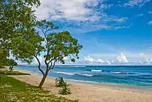 A beach on Efate