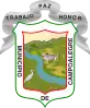 Coat of arms of Campoalegre