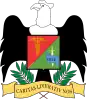 Official seal of Junín