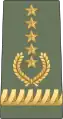 Amharic: የፊልድ ማርሻል ጄኔራል, romanized: Yefīlidi marishali jēnērali(Ethiopian Army)