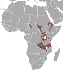 East Africa