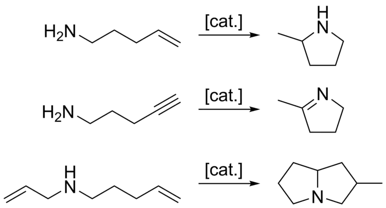 Examples of intramolecular hydroamination.