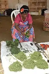 A woman selling Eru leaves for income