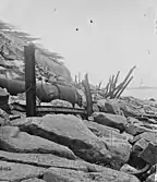 Exterior view of Fort Sumter, 1865.  Banded rifle in the foreground, fraise at the top.