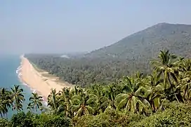 Sandy beaches dotted with swaying coconut palms are a ubiquitous sight along the Malabar coast