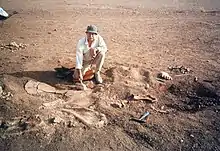 Bones being excavated by a person