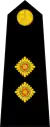 Lieutenant