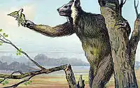 Inaccurate 1902 life restoration of M. madagascariensis