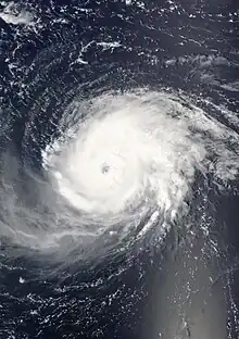 A view of Hurricane Fabian from Space on September 1, 2003. The intense Category 4 storm is located about 190 miles north-northeast of Barbuda. The storm's eye, visible near the center of the image, is over the open waters of the Atlantic Ocean.