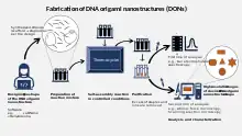 The process of fabricating DNA Origami