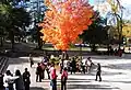 Fall at Tuskegee University