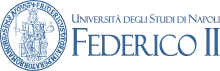 Logotype of University of Naples Federico II