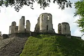 Ruins of the chateau