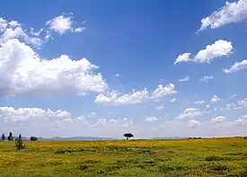 A view of the Mexican Plateau near San Miguel de Allende, Guanajuato