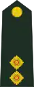 Lieutenant(Fiji Infantry Regiment)