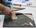 Filleting a fish, demonstration