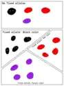 Image illustrating the concept of fixed alleles through comparing different populations of an imagined species.