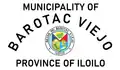 Flag of Barotac Viejo